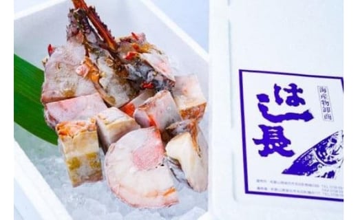 冷凍伊勢海老カット約1kg(サイズ不揃い)和歌山県上富田町26000魚介・海産物エビ