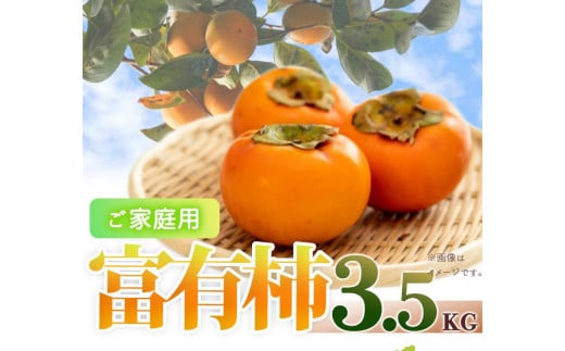 【ご家庭用わけあり】和歌山秋の味覚 富有柿 約3.5kg 「2025年11月上旬以降発送予定」【UT51】和歌山県上富田町12000果物・フルーツその他 果物・フルーツ