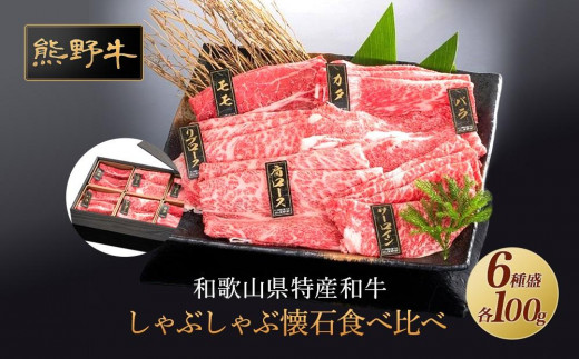 F싍 Ԃԉ 6퐷yMT46za̎Rxc22500