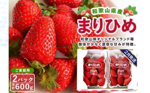 yƒpiȈՕjza̎RY܂Ђ 1i2pbNjy2026N2͂zmMG60na̎Rxc10000ʕEt[c