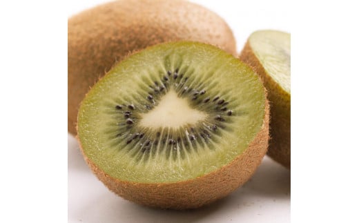 ms\nI LEC5kg+250giݕ⏞jyGʁzmIKE108na̎Rxc21000ʕEt[c̑ ʕEt[c