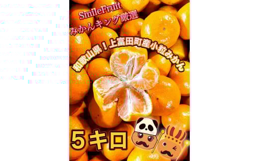ys\z݂5kg@xI݂̗IySmileFruit݂LOIz2025N10{ȍ~a̎Rxc21000ʕEt[c݂Ek