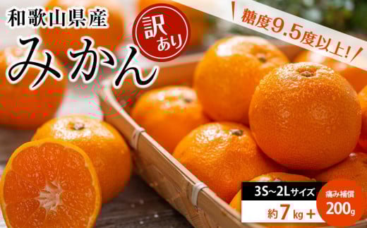 和歌山県産 糖度9.5度 以上 訳あり みかん 7kg 傷み補償+200g 3S 〜 2Lサイズ混合【MG58】和歌山県上富田町10000果物・フルーツみかん・柑橘類