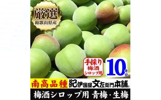 南高梅【緑】10kg 大サイズ 厳選南高梅  梅酒用 フレッシュ青梅(生梅)/紀伊国屋文左衛門本舗和歌山県上富田町50000果物・フルーツその他 果物・フルーツ