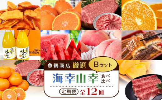【魚鶴商店厳選!】人気の海幸山幸食べ比べ【定期便全12回】セットB【UT110】和歌山県上富田町244000果物・フルーツみかん・柑橘類