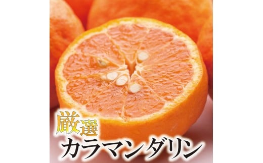 ms\nI J}_1kg+250giݕ⏞jmÊCEȂ݁nm󏭂ȏtknm݂Ɠ悤ɐHׂ܂nmIKE65na̎Rxc7000ʕEt[c݂Ek