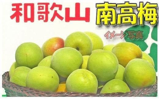 m~E~pniL܂M|10Kgjn썂~2026N6{`77\聄t[c ʕ  Hi lC  mART08na̎Rxc70000ʕEt[c̑ ʕEt[