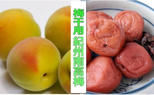 m~E~pni4L܂3L|10kgjn썂~2026N6{`77\聄t[c ʕ  Hi lC  mART09na̎Rxc130000ʕEt[c̑ ʕEt