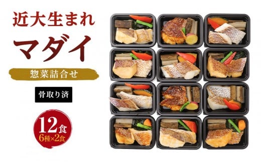 WŊȒPIߑ吶܂}_Cy؋li12HjyKD3za̎Rxc36000ZbgE؁EHHi