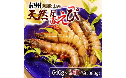 紀州和歌山産天然足赤えび540g×2箱(270g×4パック) 化粧箱入【2025年11月末頃から2026年2月上旬頃に順次発送】【UT24】和歌山県上富田町35000魚介・海産物エビ