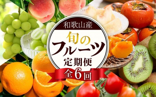 和歌山の旬の果実を 奇数月にお届け全6回定期便【TM49】和歌山県上富田町91000果物・フルーツその他 果物・フルーツ