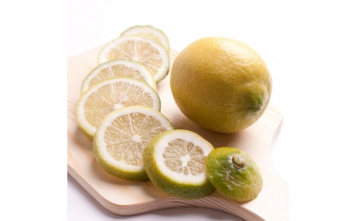 2.5kg+250giݕ⏞jya̎RLcYzyh܁EWAXsgpAS̍YzmIKE127na̎Rxc11000ʕEt[c݂Ek