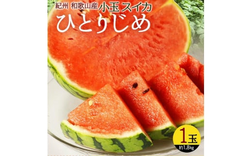 紀州和歌山産 小玉スイカ「ひとりじめ」 1玉【2026年6月中旬頃〜2026年7月上旬頃に順次発送】【UT85】和歌山県上富田町10000果物・フルーツメロン・スイカ