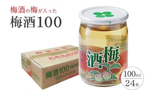 ワンカップ 梅酒100ml(梅酒90ml、梅実10ml) ×24本和歌山県上富田町18000酒・アルコールウイスキー・洋酒・リキュール
