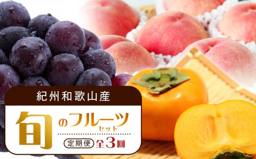 y7E8E10 S3zIBa̎RY{̃t[cZbgiEsI[lEЂ炽˂Ȃ`j yߏXzyUT67za̎Rxc49000ʕEt[c̑ ʕEt[c