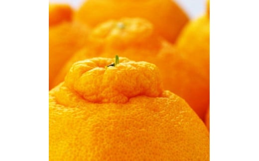 _Ƃ Z sm 12`24 (5kg)ms\nmMS39na̎Rxc15000ʕEt[c݂Ek