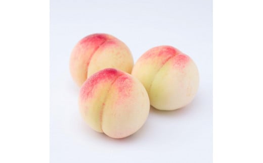 a̎RY  5ʁ`6 1.5kg GimAS2na̎Rxc16000ʕEt[cE