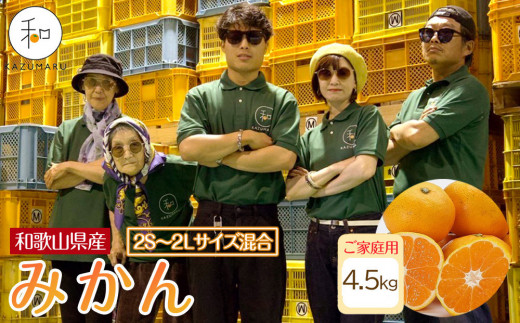 ƒp X{_̎I ݂ 4.5kg a̎RY 2S~2LTCY mkCEEzsnmRN7nm2025N11{珇na̎Rxc8000ʕEt[c݂Ek