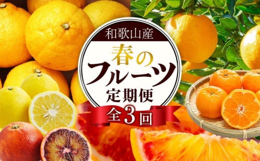 定期便全3回 【2月・3月・4月発送】 和歌山の春の柑橘 (ポンカン・はるか・ブラッドオレンジ)秀品【TM173】和歌山県上富田町34000果物・フルーツその他 果物・フルーツ