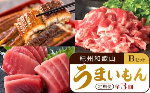【定期便 全3回】紀州和歌山うまいもんセットB(生まぐろ・うなぎ蒲焼・熊野牛)【UT126】和歌山県上富田町63000魚介・海産物鮮魚