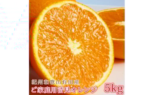 mƒp󂠂nIBLcYIW 5kgm2026N3{ȍ~nms\nmUT132na̎Rxc11000ʕEt[c݂Ek