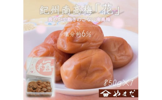 IB썂~ uԁv 6 850g mYM8na̎Rxc12000ZbgE؁EHHiЕE~EL`