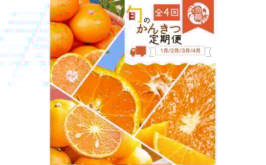 【1・2・3・4月 全4回 定期便】紀州和歌山産旬のご家庭用柑橘セット(みかん・不知火・せとか・清見)【UT130】和歌山県上富田町49000果物・フルーツみかん・柑橘類