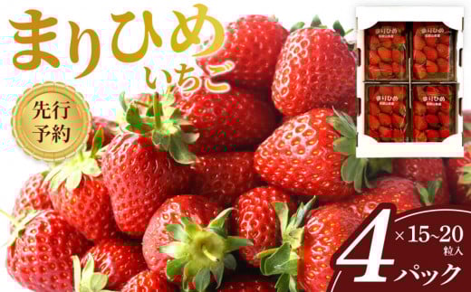 s\ ܂Ђ߂ 15`20×4pbN Hׂ₷ЂƌTCY  _ƌI mKG32na̎Rxc20000ʕEt[c