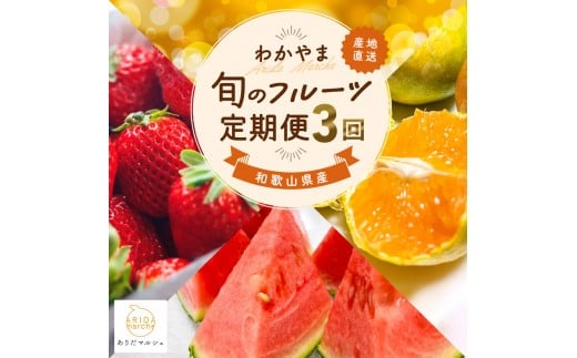 킩܏{̃t[c[S] S3 2`3E6E10 ƒp mMS120na̎Rxc25000ʕEt[c