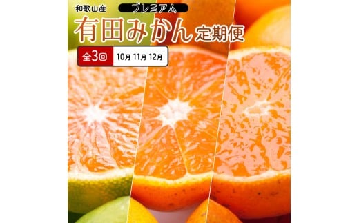 I kSSi10`12jS3y݂ւŁzmIKE284na̎Rxc21000ʕEt[c݂Ek