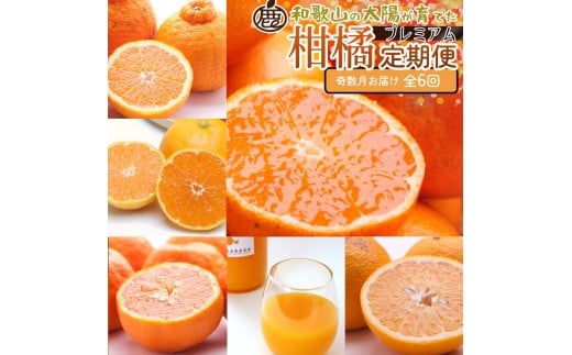 I kSijS6mIKE287na̎Rxc65000ʕEt[c݂Ek