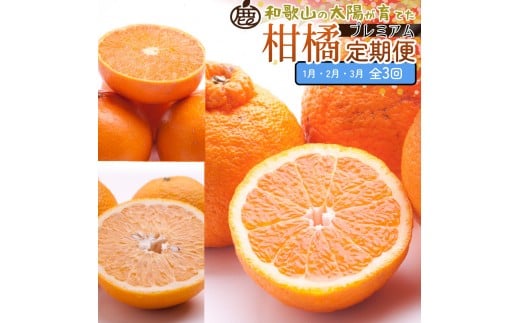 I kSi1`3jS3mIKE288na̎Rxc39000ʕEt[c݂Ek