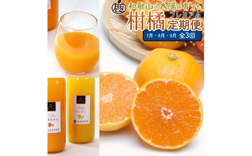 I kMi7`9jS3 mIKE297na̎Rxc49000ʕEt[c݂Ek