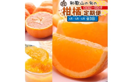 ƒp kMi4`6jS3 mIKE311na̎Rxc42000ʕEt[c݂Ek