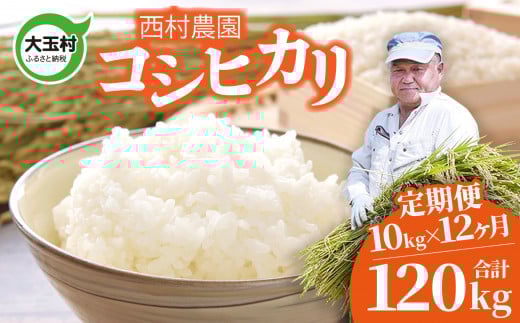 新米 定期便 米 コシヒカリ 120kg ( 10kg × 12 ヶ月 )《 令和7年 》 福島県 大玉村 西村農園  | こしひかり 精米 定期 12回 コメ | nm-kh10-t12-R7福島県大玉村456000米・パン白米