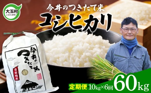 【 令和6年産  】【 今井農園 の お米 】 コシヒカリ 60kg(毎月10kg×6回)【OT08-008-R6】 福島県 大玉村 こしひかり 定期便 米福島県大玉村126000米・パン白米