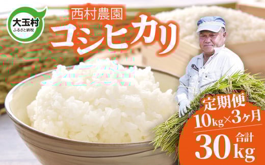 新米 定期便 米 コシヒカリ 30kg ( 10kg × 3 ヶ月 )《 令和7年 》 福島県 大玉村 西村農園  | こしひかり 精米 定期 3回 コメ | nm-kh10-t3-R7福島県大玉村114000米・パン白米