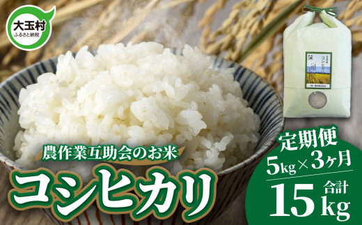   RVqJ 15kg ( 5kg × 3 )  ʑ _ƌݏ  b Ђ    ͂  3 R b gj-kh05-t3-R6ʑ42000āEp
