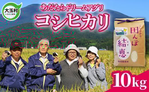 ʑ  ʍ͔| RVqJ 10kg( 5 kg× 2 ) y ߘa7NY  z ăRN[ܕĂh[AO b  ʑ č Ђ  ʍ͔| ʍ͔| 