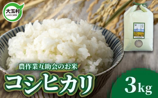 米 3kg コシヒカリ 令和6年  | 福島県 大玉村 農作業互助会 白米 ごはん コメ こめ 米作り 精米 令和6年産 2024年産 | gj-kh03-R6福島県大玉村9000米・パン白米
