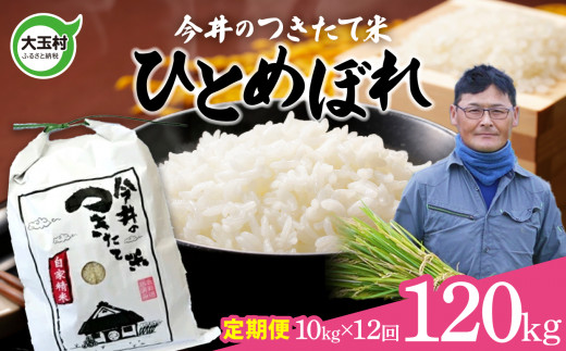 【 令和6年産  】【 今井のつきたて米 】大玉村 米 定期便 120kg ひとめぼれ (毎月 10kg × 12回 )  【OT08-018-R6】 今井農園 福島県 米作り 令和6年 お米福島県大玉村252000米・パン白米