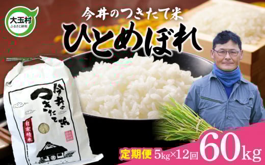 【 令和6年産  】【 今井のつきたて米 】  ひとめぼれ 60kg ( 毎月 5kg × 12回 )【OT08-015-R6】 福島県 大玉村 令和6年 米 今井農園福島県大玉村144000米・パン白米