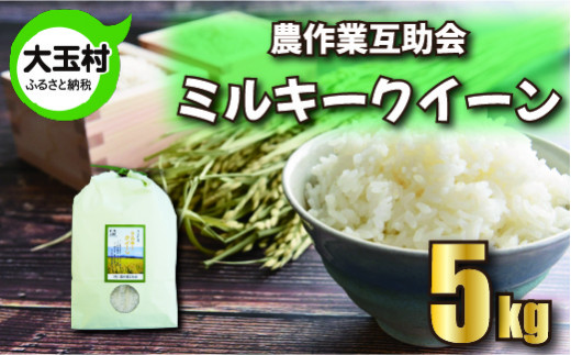 米 5kg 令和6年産 ミルキークイーン 農作業互助会   | 福島県 大玉村 米作り 精米 安達太良山 | gj-mq05-R6福島県大玉村15000米・パン白米