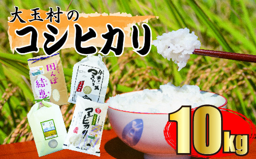 米 10kg コシヒカリ | 福島県 大玉村 米作り 精米 安達太良山 |福島県大玉村19000米・パン白米