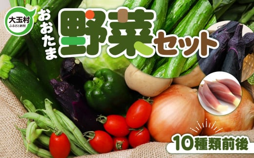 野菜 セット 10種類 前後 大玉村 の 農家 直送 旬 の 野菜 新鮮 お試し 詰め合わせ 《寄附額 5000円 》 福島県 大玉村 産地直送 季節の詰め合わせ おまかせ 国産 野菜 旬 野菜セット 詰合せ ダイ