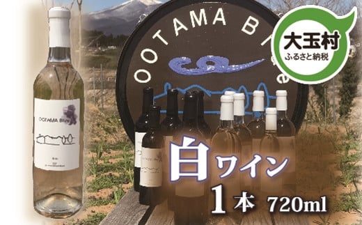 【数量限定】ワイン 白 甲州種 720ml 1本(ootama blue)【20002】福島県大玉村13000酒・アルコールワイン