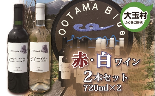 【数量限定】ワイン 赤 白 飲み比べ メルロ種 甲州種 720ml 各1本 計2本セット(ootama blue)【20003】福島県大玉村25000酒・アルコールワイン