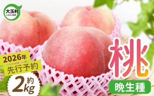  s\   ʑ  2kg 6 2026NY 8{`9{ b ߘa8NY _ƒ  l enʎ   Y 쒆  䂤 Ӑ  { t[