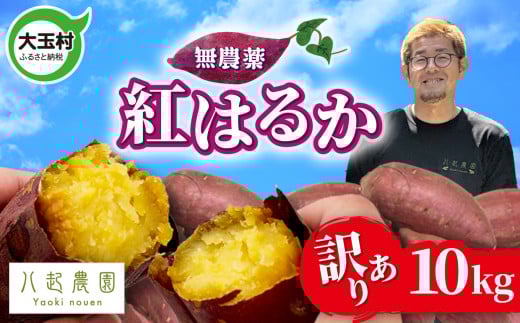 󂠂 ܂ g͂邩 10kg _ | KiO s TCY Y܂g͂邩 킯 yt  XC[g|eg Tc}C   ʑ | yn-sm-wa-b-10kg-r6ʑ12000