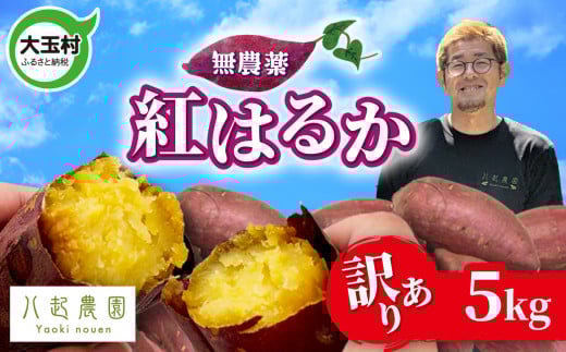 󂠂 ܂ g͂邩 5kg _ KiO s TCY | ܂g͂邩 yt Tc}C XC[g|eg   ܈  ʑ N_ byn-sm-wa-b-5kg-r6